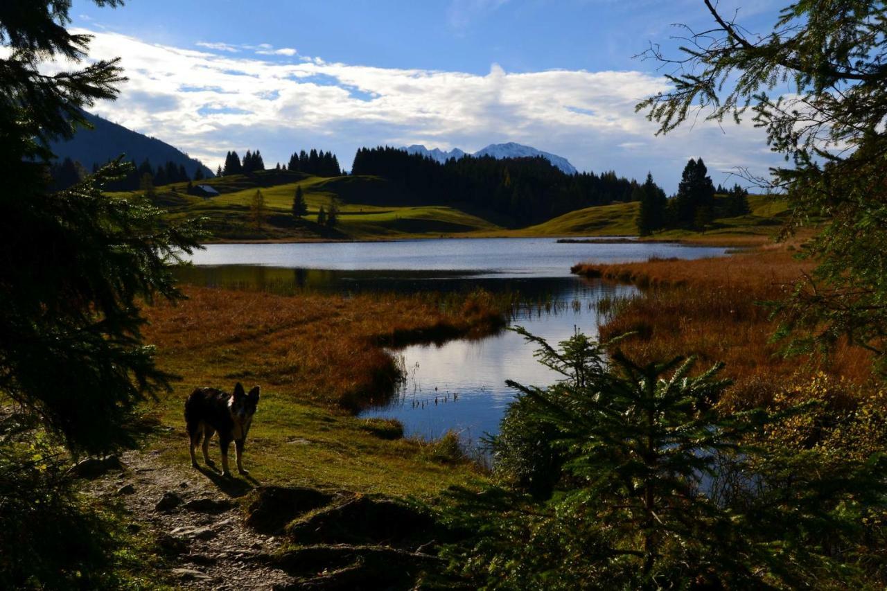 Pension Edelweiss Top21 Gosau Exterior foto