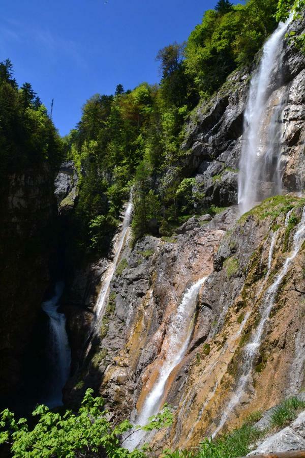 Pension Edelweiss Top21 Gosau Exterior foto