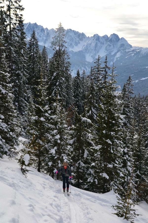 Pension Edelweiss Top21 Gosau Exterior foto