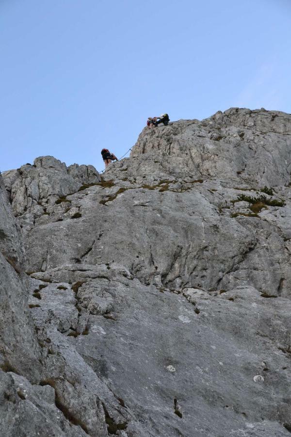 Pension Edelweiss Top21 Gosau Exterior foto